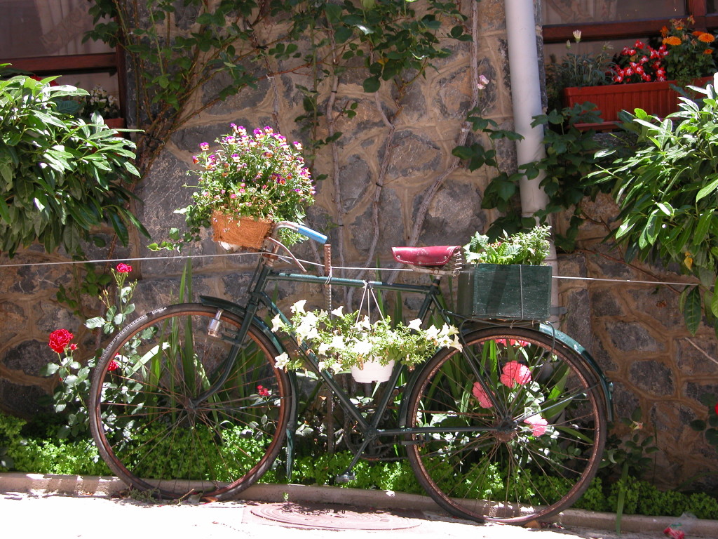 decoração-jardim-rústico