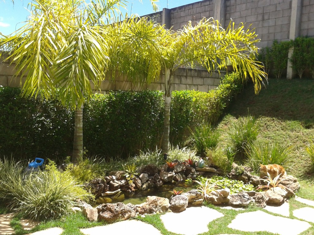 coqueiros-palmeiras-para-jardins