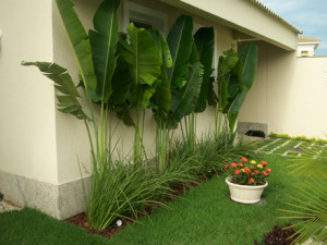 nomes-plantas-para-jardim