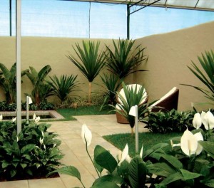 nomes-plantas-para-jardim