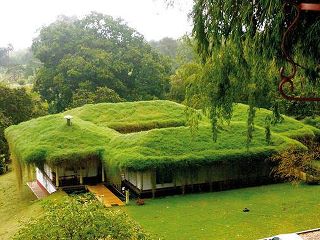  telhados-sustentáveis-telhado-verde