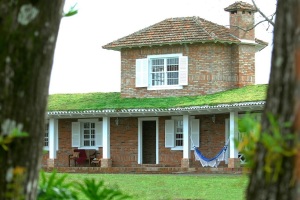 telhados-sustentáveis-telhado-verde-