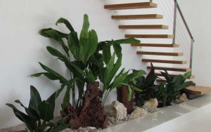 jardim-inverno-embaixo-escada