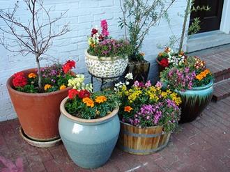 Como-fazer-um-jardim-com-vasos