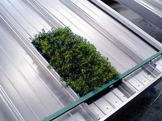 Telhado-verde-sobre-telha-metálica