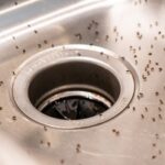 Como-eliminar-os-mosquitinhos-da-cozinha