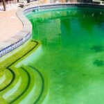 Como-tratar-água-da-piscina-verde