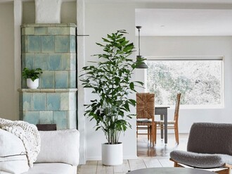 Vaso de planta grande para sala | Decorando Casas
